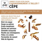 Crayon d’Assaisonnement Cèpe – OCNI Factory