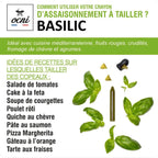 Crayon d’Assaisonnement Basilic BIO – OCNI Factory
