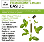 Coffret 3 Crayon à Tailler - Truffe Noire, Basilic Bio et Cèpe